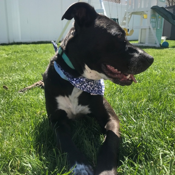 Meet your Posher, Adriana - Picture 1 of 1